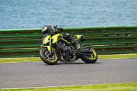 Middle Group Yellow Bikes